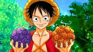 fruit du demon one piece