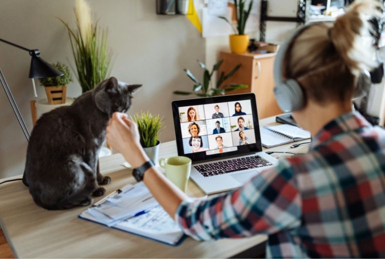 Votre chat vous parle-t-il
